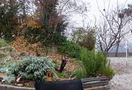 Traumhafte Gastroliegenschaft in der Wachau am Fuße einer Ruine***Donauterrasse***perfekt für Edelgastronomie oder Gourmettempel