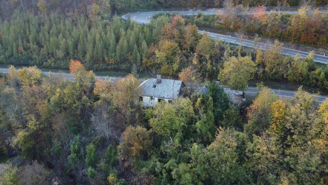 Ihr Stück Natur im 17. Bezirk – 6.195 m² im Wald- und Wiesenschutzgebiet