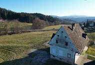 HISTORISCHER HOF IN DER GRÜNEN STEIERMARK: Ein Platz für große Pläne – von Landwirtschaft bis Pferdeparadies