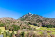 Ferienhaus am Fuschl See im Salzkammergut mit Zweitwohnsitzwidmung