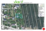 Naturnah & ruhig: Grundstück mit Altbestand in Spattendorf - Gemeinde Alberndorf in der Riedmark (GST 2438/1)