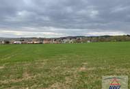 Top Investion: eventuell mögliches Bauhoffnungsland nahe dem Stadtzentrum von Hollabrunn!