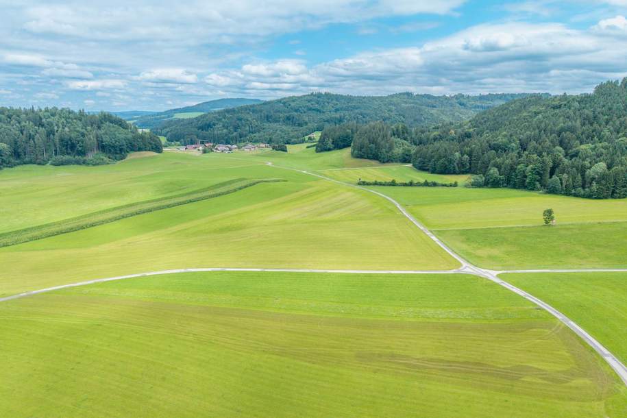 Landwirtschaftliche Nutzfläche in Neumarkt am Wallersee, Gewerbeobjekt-kauf, 5202 Salzburg-Umgebung