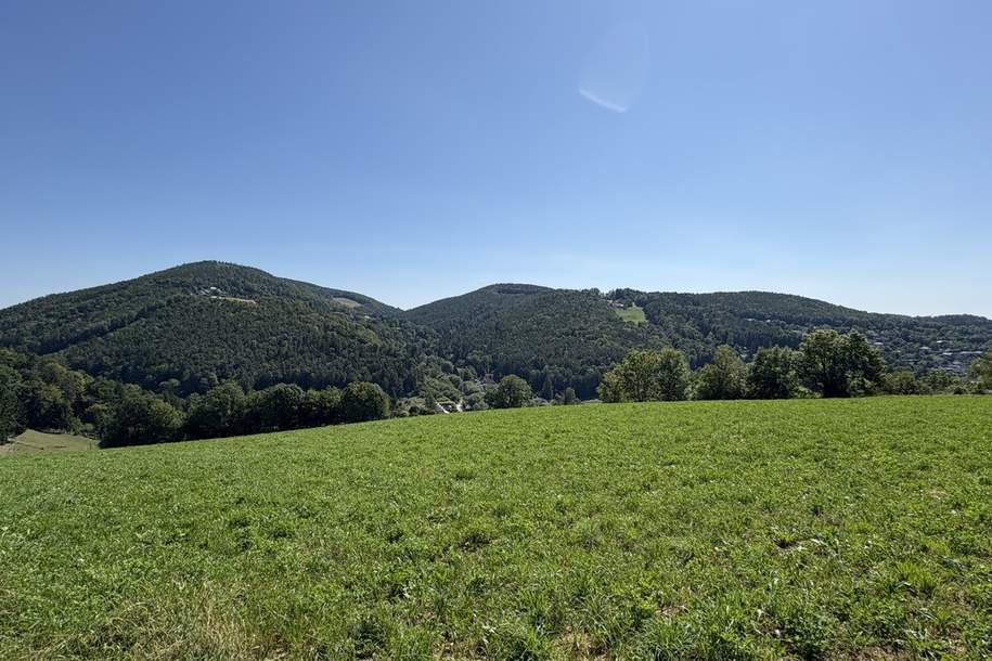 Wunderschönes Grundstück in Graz-Andritz – ca. 803 m² in Sonnenlage mit TOP-Ausblick!, Grund und Boden-kauf, 298.000,€, 8045 Graz(Stadt)