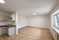 Frisch renovierte Wohnung in der Altstadt: Ab sofort verfügbar!
