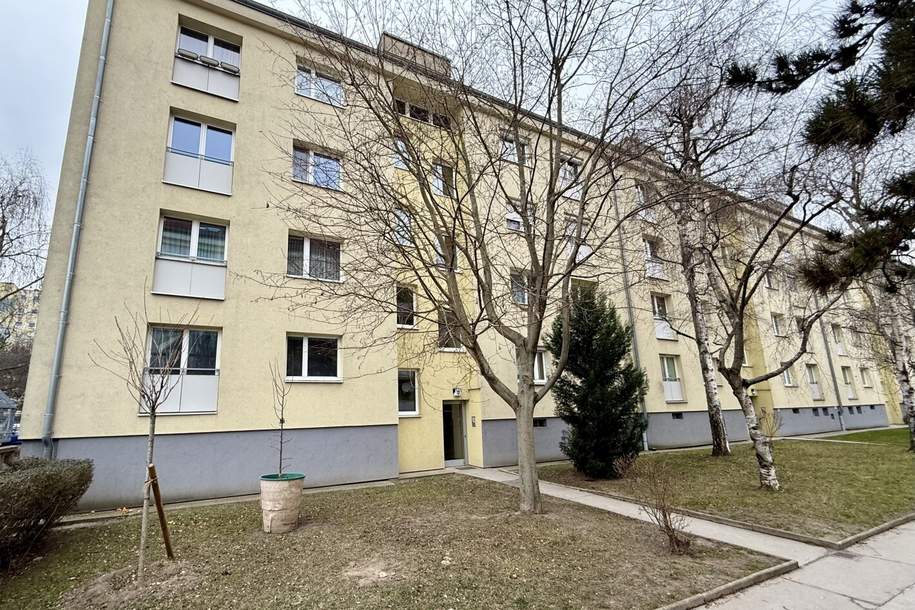 Gemütliche 3-Zimmer-Wohnung mit Loggia in Wien 1220 – Ihr Sanierungsprojekt wartet!, Wohnung-kauf, 260.000,€, 1220 Wien 22., Donaustadt