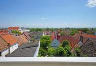 Einmalig! Stilvolle Premium-Residenz mit altem Weinhaus am Neusiedler See