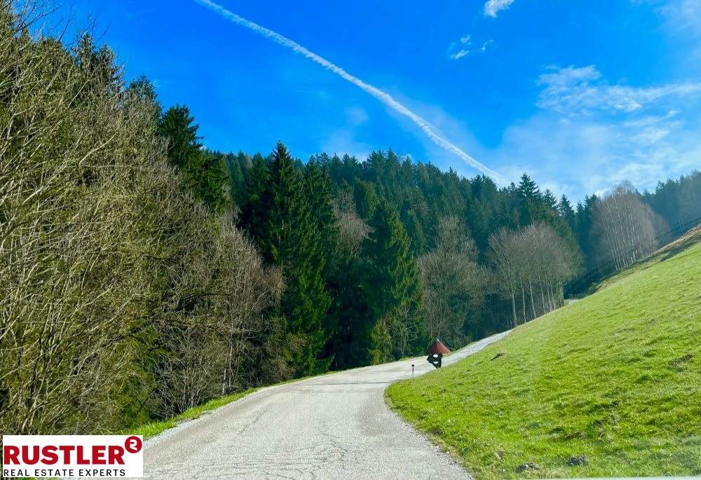 Baugrundstück im Ausmaß von 2.175 m² mit Almcharakter Naturparadies Lavanttal