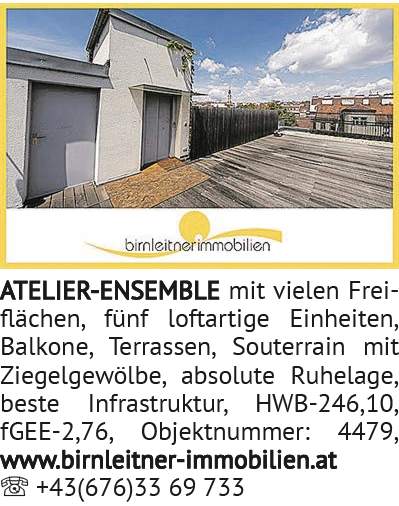 ATELIER-ENSEMBLE mit vielen Freiflächen, fünf loftartige Einheiten, Balkone, Terrassen, Souterrain m