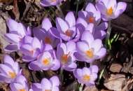 KAUFEN statt MIETEN: Sanierungsbedürftiges Wohnhaus im beliebten Urlaubsort Eberndorf!