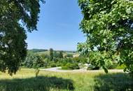 Renoviertes ehemaliges Bauernhaus in schöner Lage