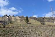 Freizeitwohnsitz-Alleinlage-Alt und Neu vereint mit der Natur