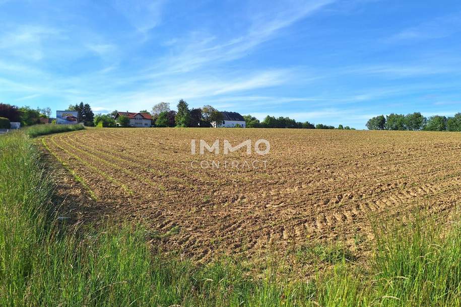 Betriebsgrund in Bergland mit 6.587 m² - Stadtrand Wieselburg - guter Lage, Gewerbeobjekt-kauf, 527.000,€, 3254 Melk