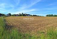 Betriebsgrund in Bergland mit 6.587 m² - Stadtrand Wieselburg - guter Lage