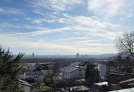 Raum zum Leben in Linzer Bestlage