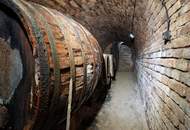 Potentialreiches Haus mit spitzen Weinkellerröhren in Groß-Schweinbarth