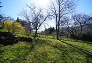 Wunderschönes Baugrundstück für Ihr neues Eigenheim nahe Ortskern