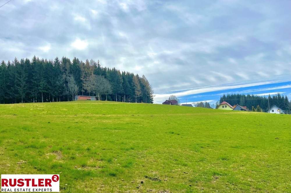 Baugrundstück für Bauträger im Ausmaß von 5.696 m² mit Almcharakter