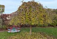 GARTENPARADIES - 9.000 M² - LANDHAUS IN PARKLANDSCHAFT NUR 30 MINUTEN VON WIEN