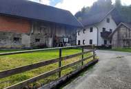 Für Naturliebhaber und Heimwerker- sanierungsbedürftiges Bauernhaus mit Nebengebäuden - zwischen Hermagor und Villach
