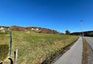 Sonniges Baugrundstück in Albersdorf – 740 qm - Privatverkauf (Provisionsfrei)