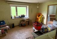 Sacherl in Alleinlage - mit 5000 m² Obstbaumwiese und Wald