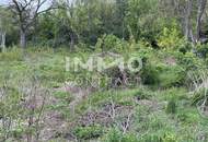 Verwirklichen Sie ihren Traum Grundstück mit 5273 m² Bauland Agrar