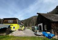 HandwerkerIn gesucht im kleinen Yspertal: liebenswertes Haus unweit von Nöchling