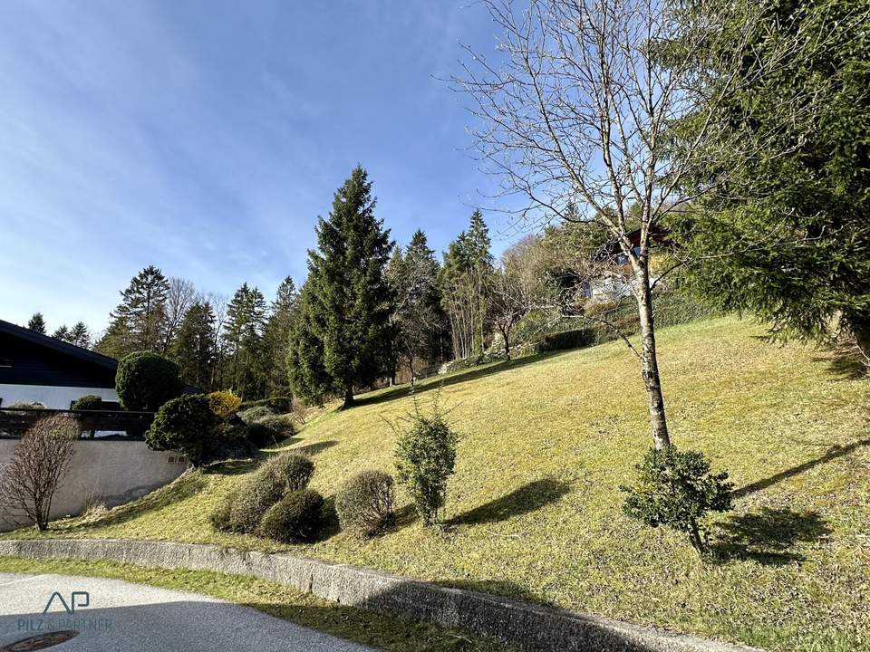 Sonniger Grund im lebenswerten Scheffau!