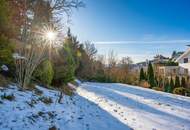 Hochwertige Wohnimmobilie mit 3 Einheiten - Wohnen und Arbeiten in waldnaher Ruhelage