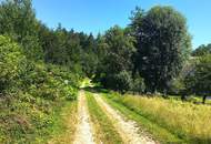 BESONDERHEIT: 2.744 m² Grundstück für Naturliebhaber in absoluter Ruhelage in 8046 Graz-St.Veit!