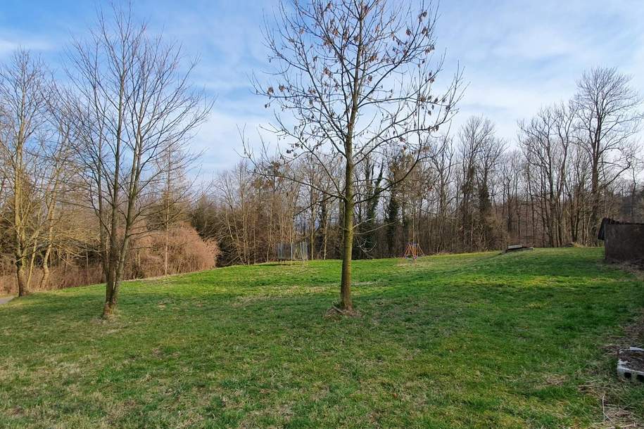 Wald und Wiese, Grund und Boden-kauf, 329.000,€, 4484 Linz-Land