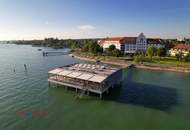 Traumhaftes Wohnen am Ufer des Bodensees: Genießen Sie den Panoramablick