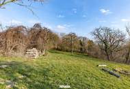 Leben im Grünen: Nachhaltige Liegenschaft mit Bauernhaus viel Land und Selbstversorger-Potenzial!