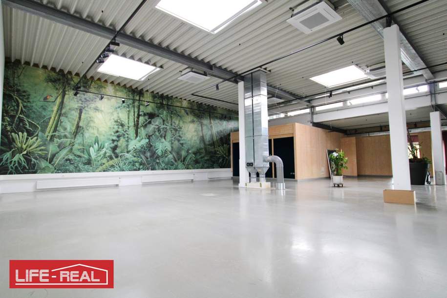 repräsentatives Büro im Hafenviertel für kreative Branchen, Teilflächen möglich, Gewerbeobjekt-miete, 6.655,20,€, 4020 Linz(Stadt)