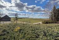 Einfamilienhaus mit großem Grundstück inkl. Garage in absoluter Ruhelage