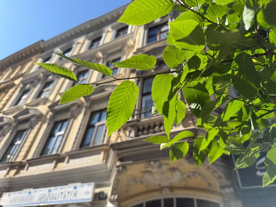 UNBEFRISTET mit Charakter, 2 Zimmer zentral