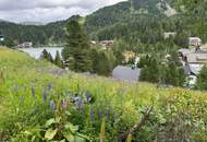 Turracher Höhe - Ein Grundstück mit Seltenheitswert – ideal für eine hochwertige touristische Entwicklung. Baugrundstück für eine kleine Apartmentanlage - DIREKT bei der Piste und der Talstation "Panoramabahn"