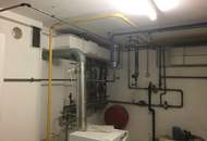 Arbeiten und wohnen wo andere Urlaub machen, Praxis/Büro+Wohnung in Zentrum von Neusiedl am See
