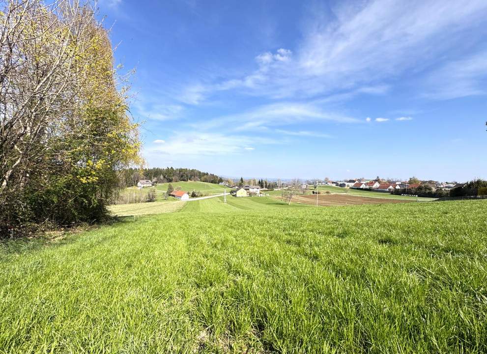 SONNIGES BAUGRUNDSTÜCK IN HERRLICHER GRÜNLAGE – NUR 10 MINUTEN VON GRAZ ENTFERNT!