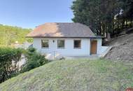 Einfamilienhaus auf großem Grund mit Sanierungsbedarf