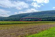 Idyllisches Landhaus in Wohnsiedlung am Waldesrand mitten im Triestingtal, südliches Bergland vor Wien