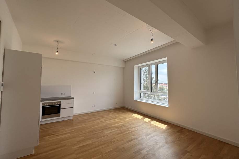 Linzer Straße - 2 Zimmer Neubau zu vermieten, Wohnung-miete, 833,37,€, 1140 Wien 14., Penzing