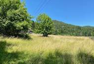 Mehr als 5000m² Grund! Wo sich Fuchs und Hase "gute Nacht" sagen!
