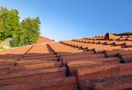 NEUER PREIS! Einfamilienhaus