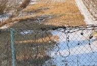 Rarität ! Attraktives, großzügiges Grundstück am Fuß des Bisambergs !