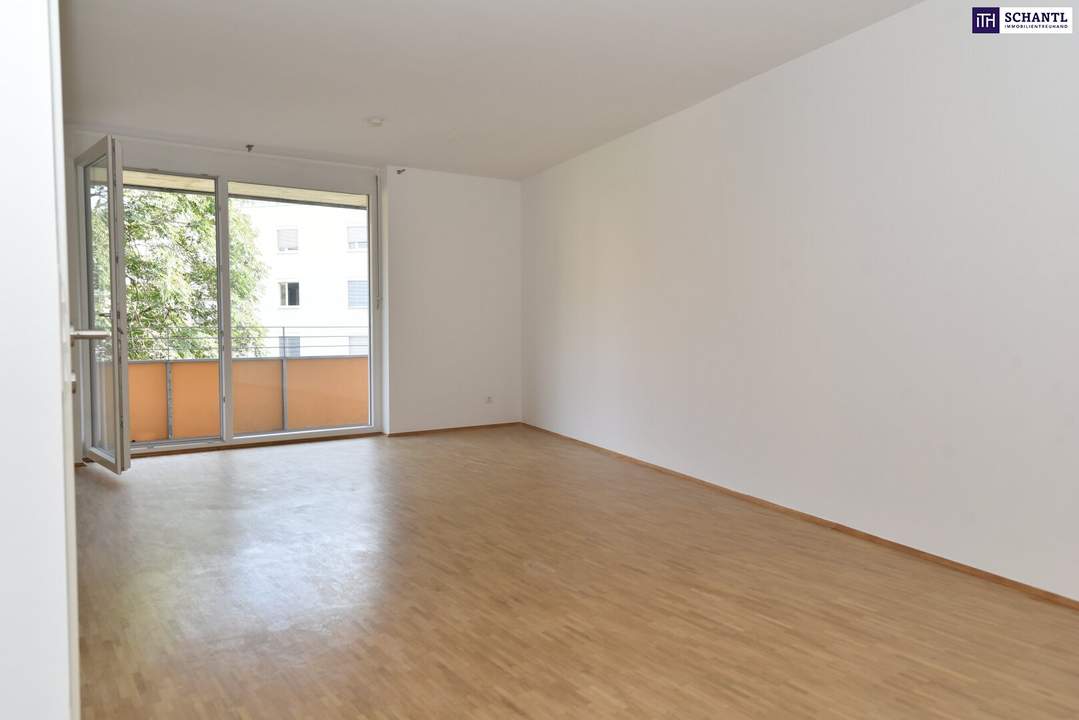 Wunderbare helle und wirklich sehr gut geschnittene Kleinwohnung sofort zu mieten - mit Balkon in Ost-Ausrichtung und einem schönen Badezimmer - PROVISIONSFREI!