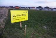Baugrundstück am Stadtrand in Purbach !