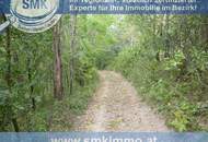 Weinkeller mit riesen Waldgrundstück Nähe A5!