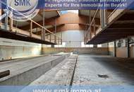 Preisreduzierte einmalige Gelegenheit!